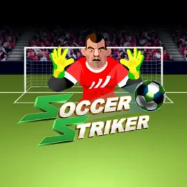 Soccer Striker Review