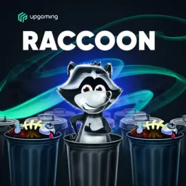 Raccoon Mini Game