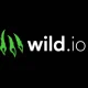 Wild.io Casino Review